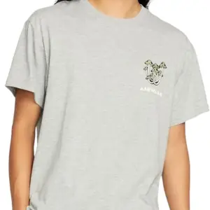 Airwalk Mens Short Sleeve Graphic T-Shirt